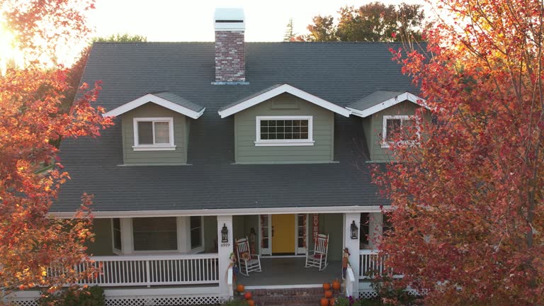 Best Rubber Roofing (EPDM, TPO)  in De Soto, IL